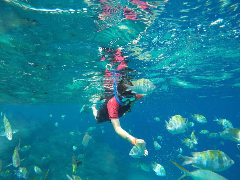 Cabo San Lucas: Snorkel, Paddle-board, and/or Kayak Tour - Suitability and Limitations