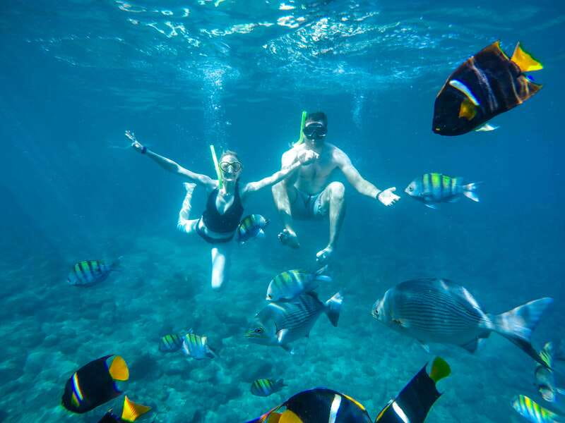Cabo San Lucas: Snorkel Tour with Open Bar & Snacks - Key Points