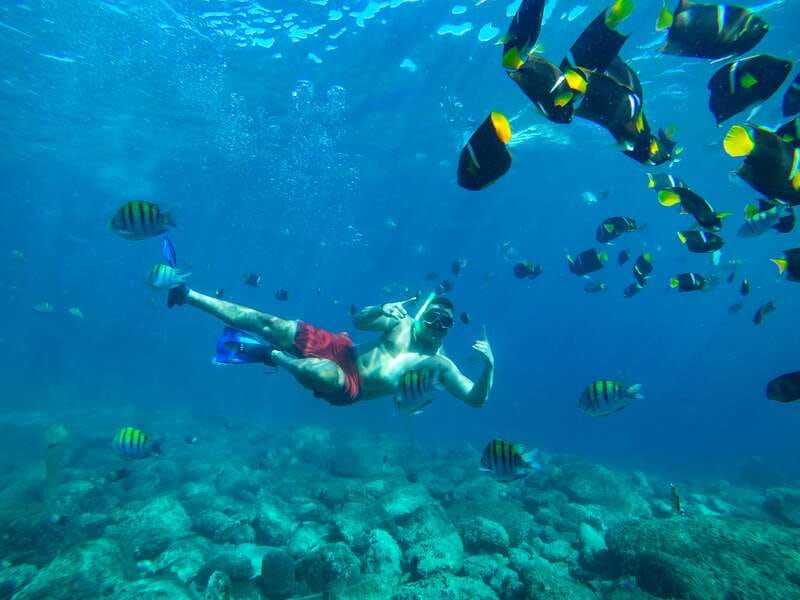 Cabo San Lucas: Snorkel Tour with Open Bar & Snacks - Snorkeling at Santa Maria Bay