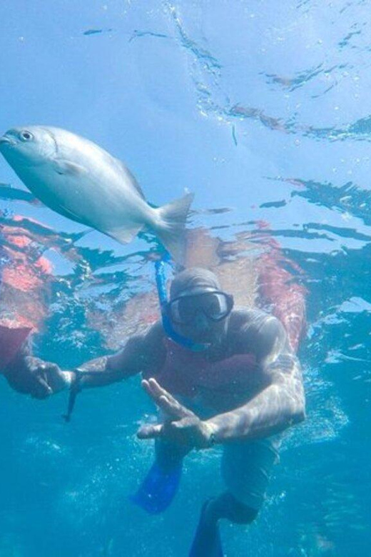 Cabo San Lucas: Snorkeling and Sailing Cruise with Lunch - Final Thoughts on the Cabo San Lucas Snorkeling and Sailing Cruise