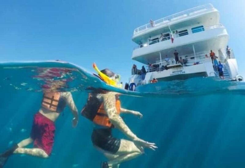 Cabo San Lucas: Snorkeling Cruise with Lunch and Open Bar - Cost and Booking Flexibility