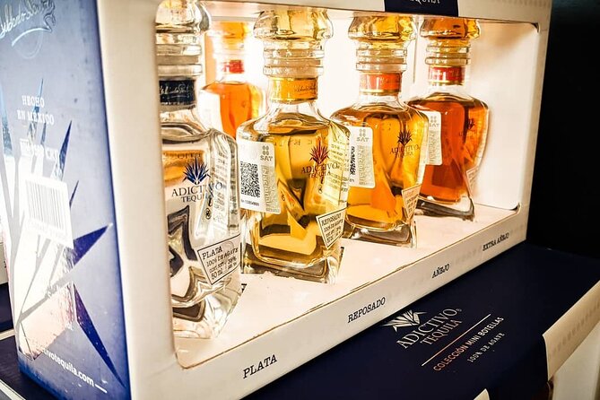 Cabo San Lucas Tequila Tasting Experience - What to Expect from the Experience