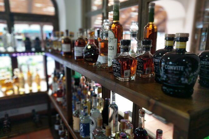 Cabo San Lucas Tequila Tasting Experience - Timing, Crowd Levels, and Pacing