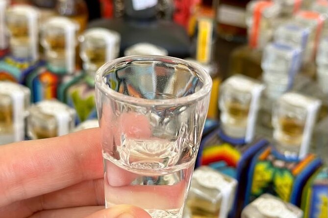 Cabo San Lucas Tequila Tasting & Mixology Class in Tasting room - Discover the Best of Cabo San Lucas Tequila in an Intimate Tasting Room