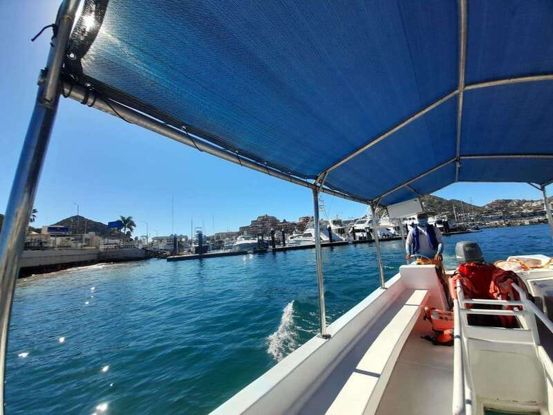 Cabo San Lucas: Tour al Arco en Barco Fondo de Cristal - Marine Life and Underwater Views via Glass Bottom