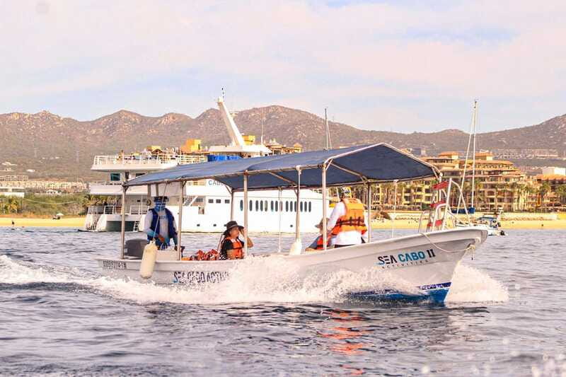 Cabo San Lucas: Tour al Arco en Barco Fondo de Cristal - Logistics and Practical Details