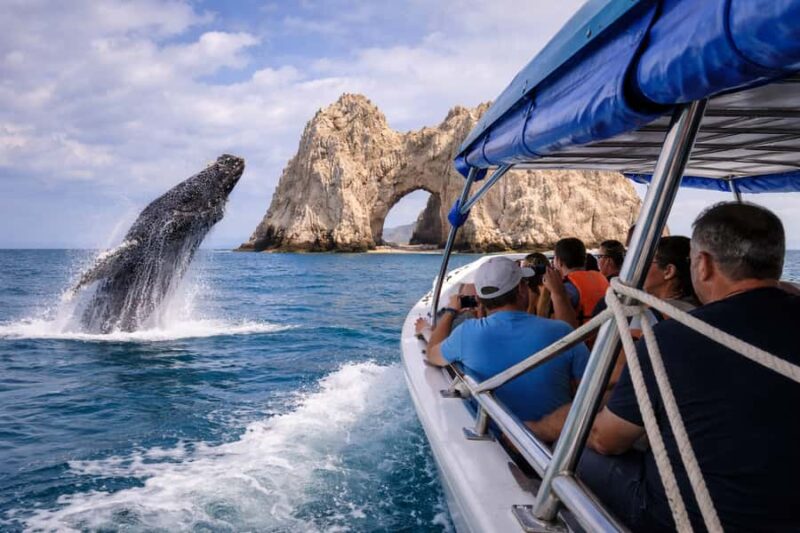 Cabo San Lucas Tour | Arch, Lovers Beach & Whale Waching - Key Points