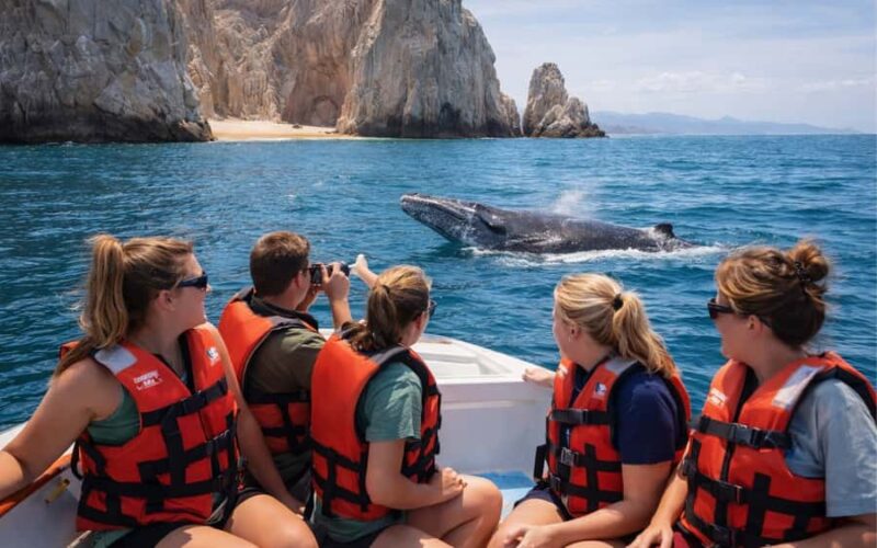 Cabo San Lucas Tour | Arch, Lovers Beach & Whale Waching - Practical Details: Meeting Point and Logistics