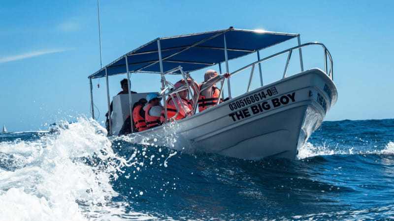 Cabo San Lucas: Tour paseo al Arco + bajada en playa - Explore the Stunning Arch of Cabo San Lucas on a Compact 1-Hour Tour