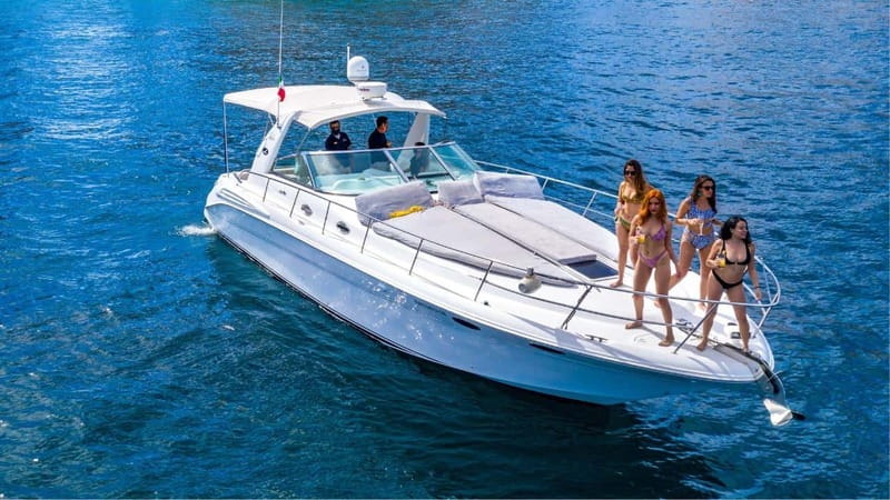 Cabo San Lucas Tour To Balandra Beach - Snorkeling Among Playful Sea Lions at San Rafaelito