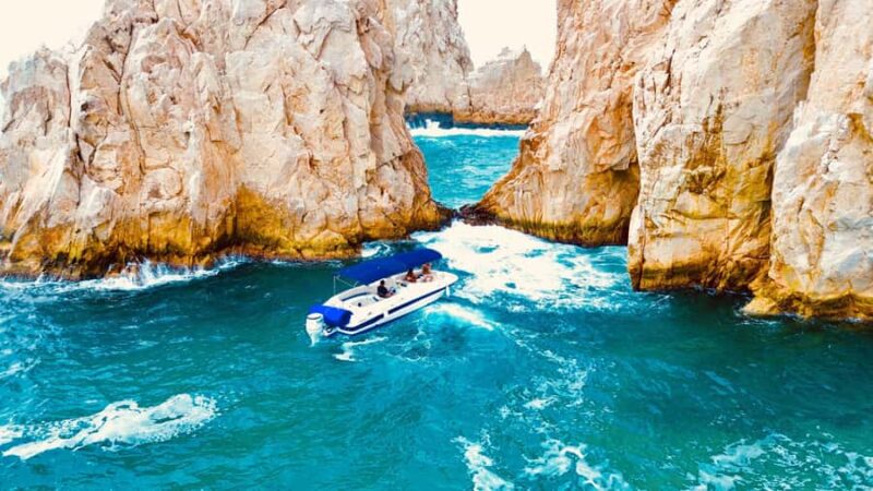 Cabo San Lucas: Whale Watching and Snorkeling Tour - Snorkeling at Pelican Rock: Underwater Color and Marine Life