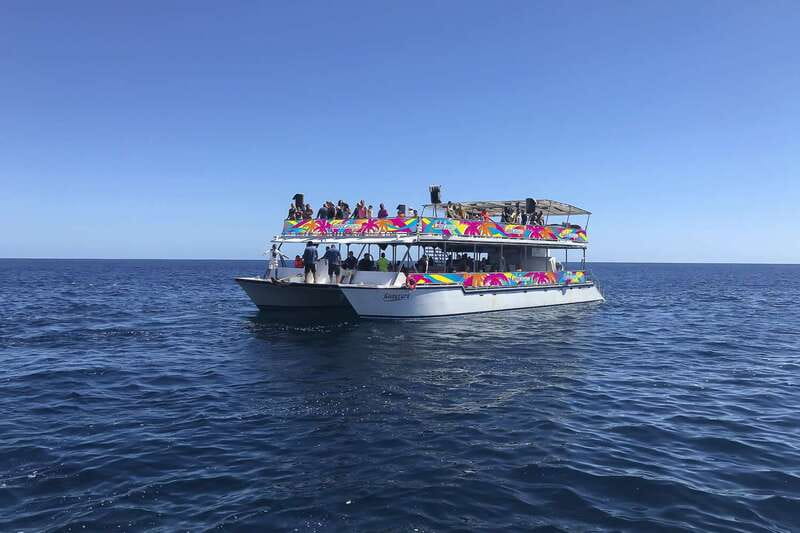Cabo San Lucas: Whale Watching Breakfast Cruise - Price, Value, and Booking Flexibility
