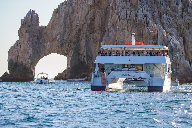 Cabo San Lucas Whale Watching Lunch Cruise - Accessibility and Comfort for All Guests