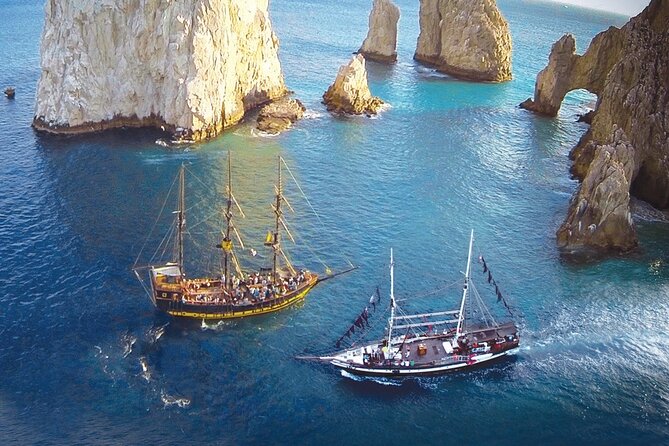 Cabo San Lucas Whale Watching Tour All Included - Whale Watching from Cabo San Lucas: The Boats and Sighting Opportunities