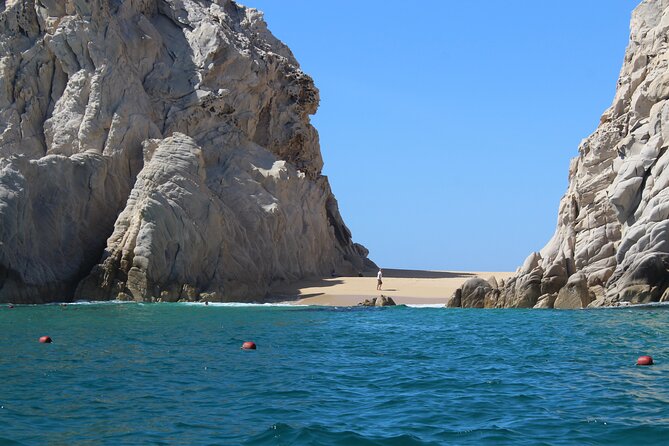 Cabo San Lucas Whale Watching Tour All Included - Logistics: Pickup, Check-in, and Additional Fees