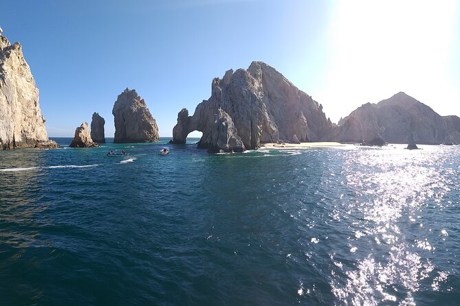 Cabo San Lucas Whale Watching Tour All Included - Who Will Appreciate This Tour Most?