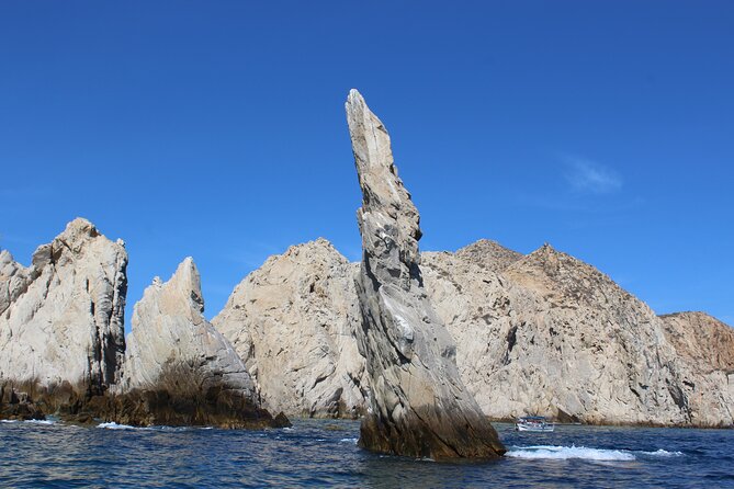 Cabo San Lucas Whale Watching Tour All Included - Cabo San Lucas Whale Watching Tour All Included: Final Thoughts