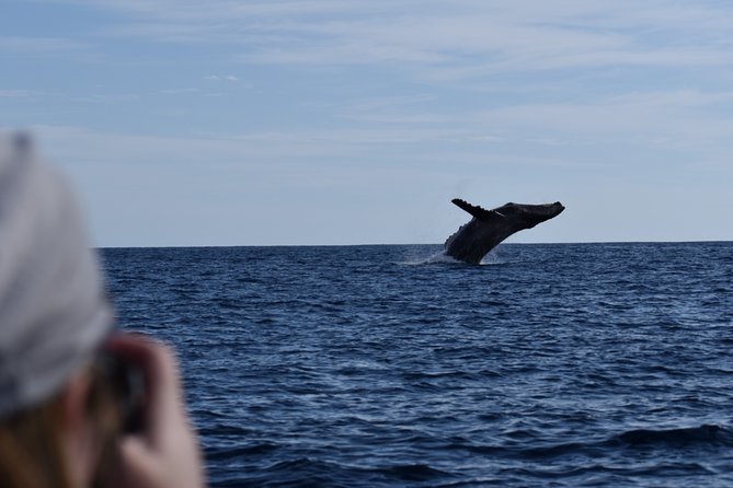Cabo San Lucas Whale Watching Tour with Photos Included - Practical Tips: What to Expect on the Boat