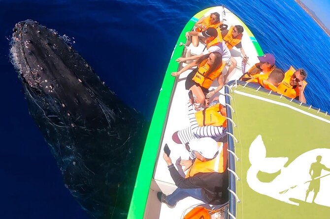 Cabo San Lucas Whale Watching Tour with Photos Included - Final Thoughts: A Personalised and Educational Marine Tour