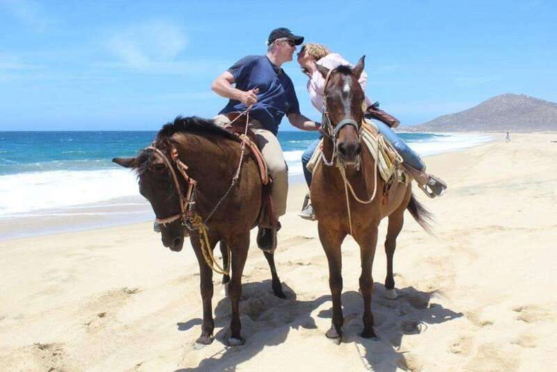 Cabo San Lucas: White Sand Horseback Adventure - Key Points