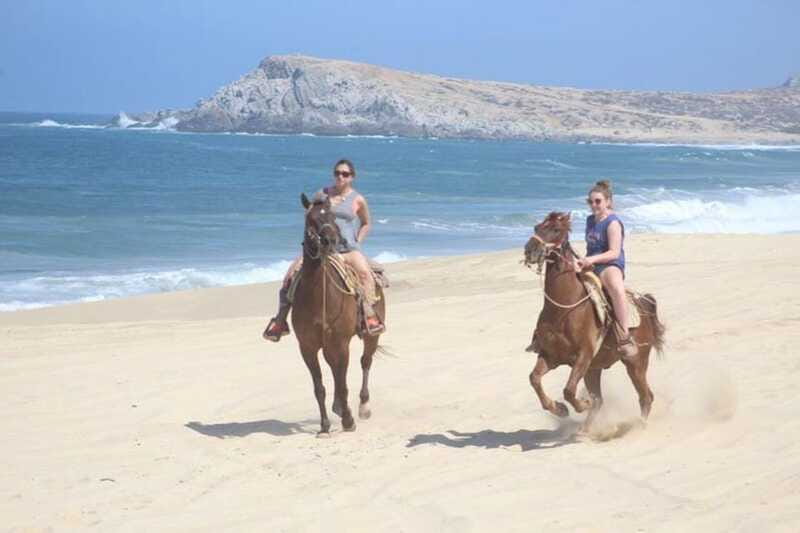 Cabo San Lucas: White Sand Horseback Adventure - Experience Level and Physical Requirements