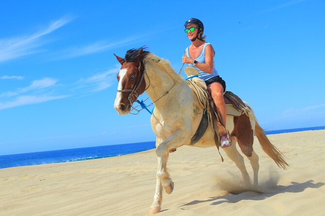 Cabo Shore Excursion: Beach Horseback Ride & Tequila Tasting - The Start at Real Baja Tours in Migrino