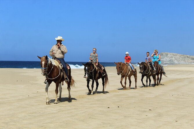 Cabo Shore Excursion: Beach Horseback Ride & Tequila Tasting - The Beach and Desert Landscape
