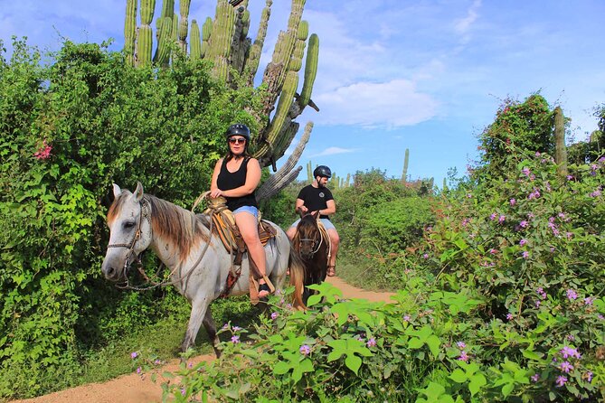 Cabo Shore Excursion: Beach Horseback Ride & Tequila Tasting - Wildlife Spotting During the Ride