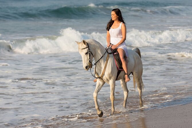 Cabo Shore Excursion: Beach Horseback Ride & Tequila Tasting - Optional Migrino Park Admission Fee