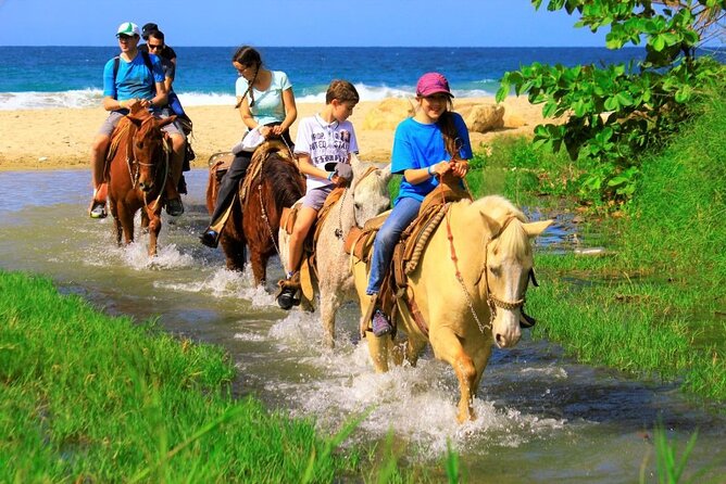 Cabo Shore Excursion: Beach Horseback Ride & Tequila Tasting - Tequila Tasting and Additional Activities