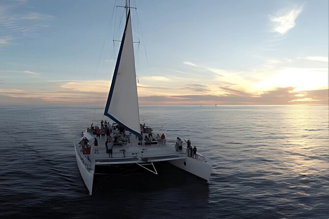 Cabo Sunset Catamaran Cruise: El Arco & Open Bar Experience - The Experience of the Open Bar and Scenic Views