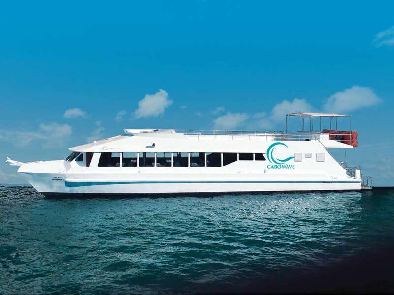 Cabo: Sunset Cruise with Dinner, Music & Open Bar - Departure Details and Meeting Point