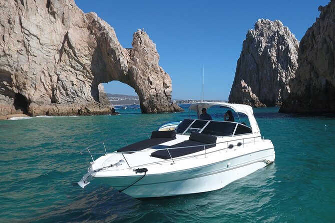 Cabo Sunset Tour - The Glass-Bottom Boat: A Unique Marine Perspective