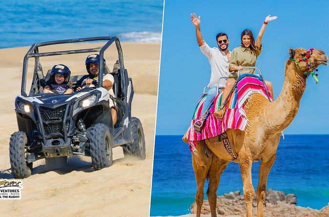 Cabo UTV and Camel Ride Combo - Conquering Baja: The Thrill of UTV Driving