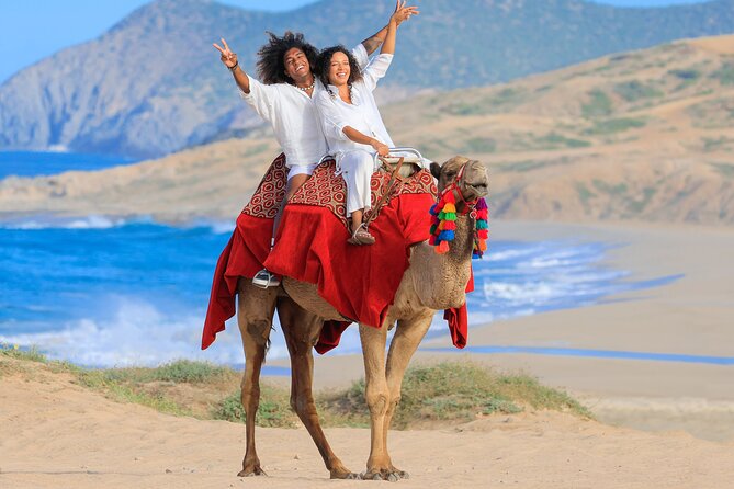 Cabo UTV and Camel Ride Combo - Cultural Touch: Tequila Tasting and Local Flavor