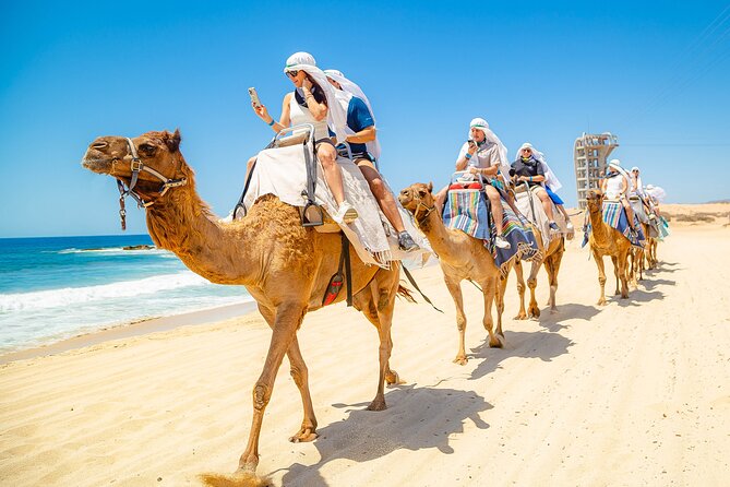Cabo UTV and Camel Ride Combo - Booking Flexibility and Cancellation Policy