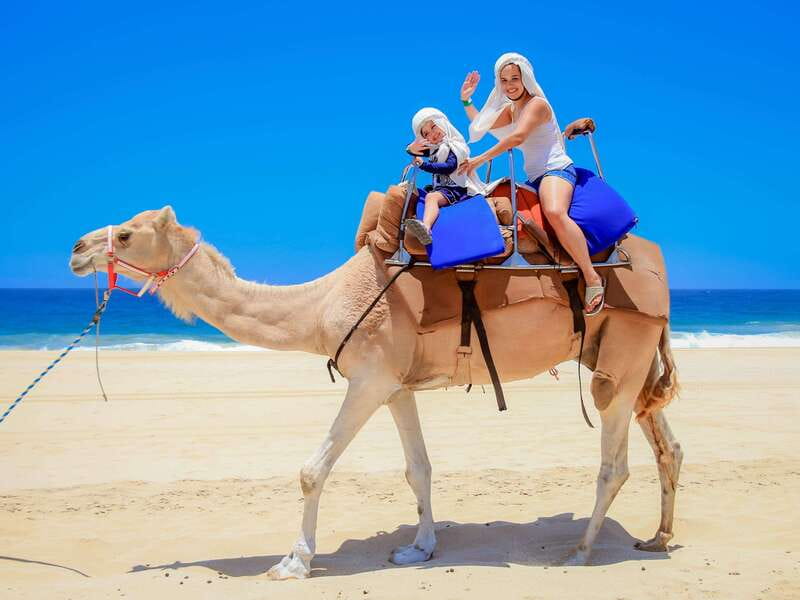 Cabo : UTV and Camel Ride in the Desert - Accessibility and Suitability Considerations