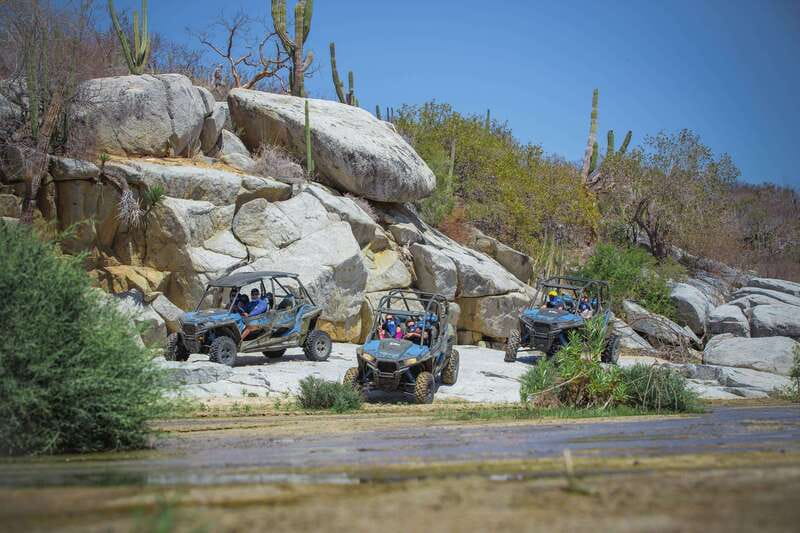 Cabo: UTV Off-Roading, Mexican Lunch, and Tequila - Tequila and Mezcal Tasting Experience