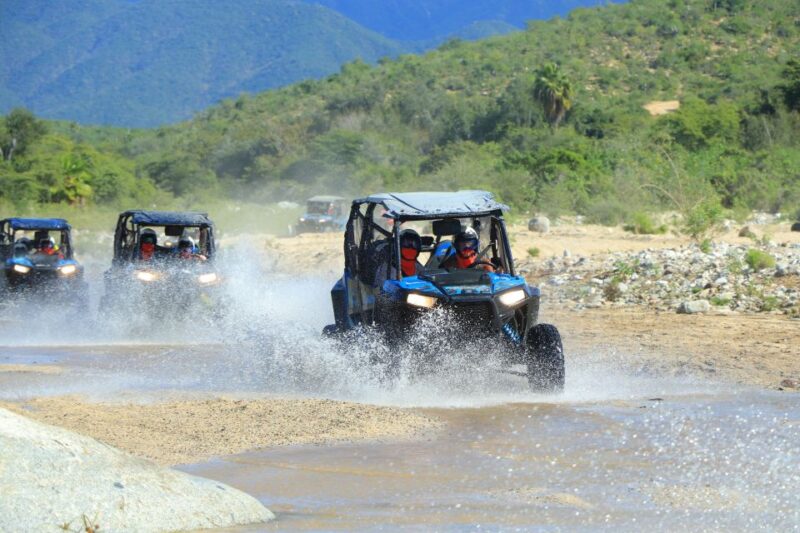 Cabo: UTV Off-Roading, Mexican Lunch, and Tequila - Why This Tour Appeals to Active and Curious Travelers