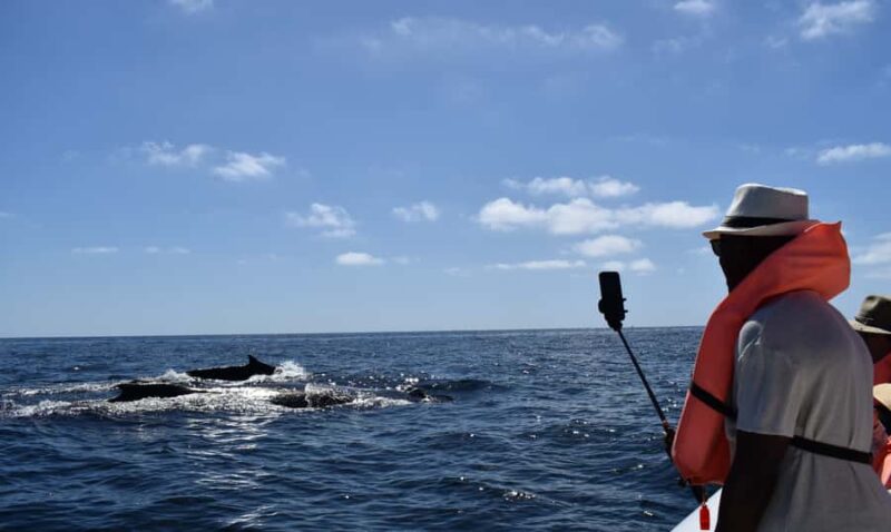 Cabo: Whale-Whatching Boat Trip w/ All-Women Crew and Photos - Contributing to Conservation and Community