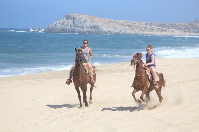 Cabo White Sand Horseback Riding Tour and Tequila Tasting - Discover the Cabo White Sand Horseback Riding Tour and Tequila Tasting