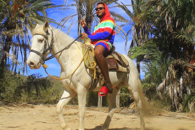 Cabo White Sand Horseback Riding Tour and Tequila Tasting - Transitioning to Cabo’s White-Sand Beaches