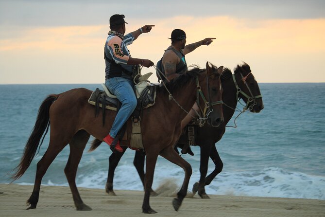 Cabo White Sand Horseback Riding Tour and Tequila Tasting - Practical Tips and Considerations