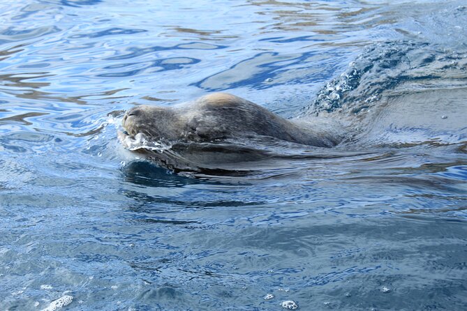 Cabo Wonders: Snorkeling at the Arch in Cabo - Visiting the Iconic Land’s End: The Arch of Cabo San Lucas