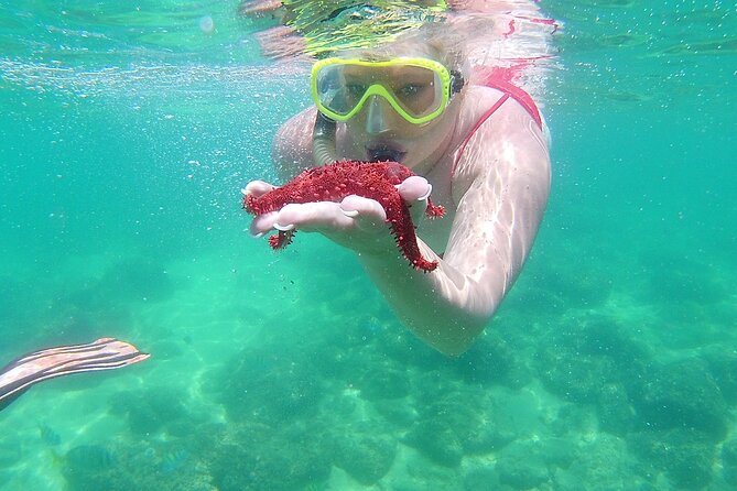 Cabo Wonders: Snorkeling at the Arch in Cabo - What’s Included in the Tour Package