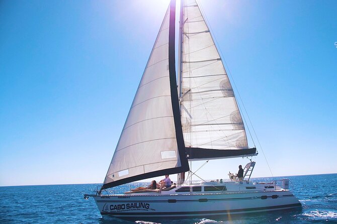 Cabos Original Sunset Cruise To The Arch - Key Points