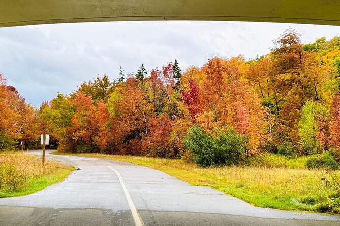 Cabot Trail Scenic Culture and Adventure Drive Tour - Experiencing Peace and Culture in Saint Anns