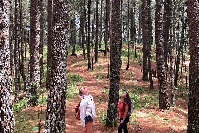 Cacao day experience from the wood to your cup! - Mountain Hike in La Cumbre Ixtepeji Forest
