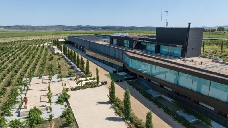 Cáceres: Bodegas Habla - Unique Aspects of the Bodegas Habla Tour