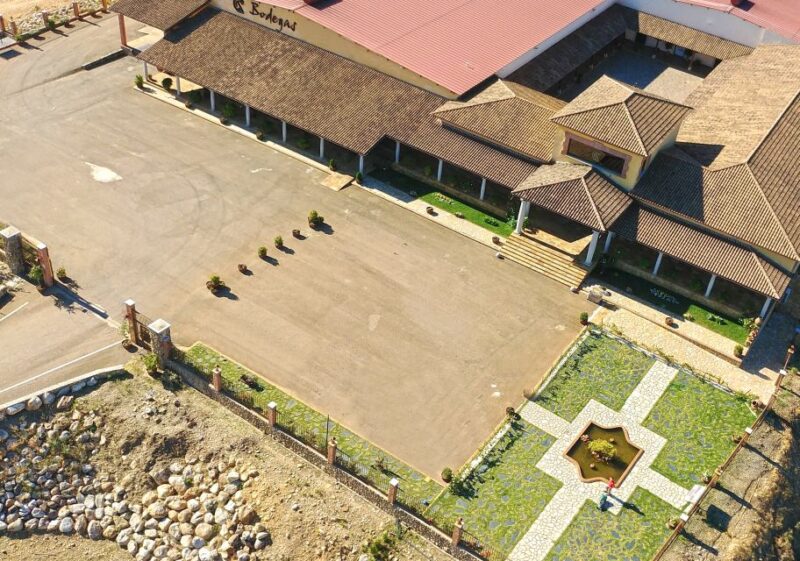 Cáceres: Winery Tour and Wine Tasting with Local Guide - Who Will Enjoy This Experience Most?